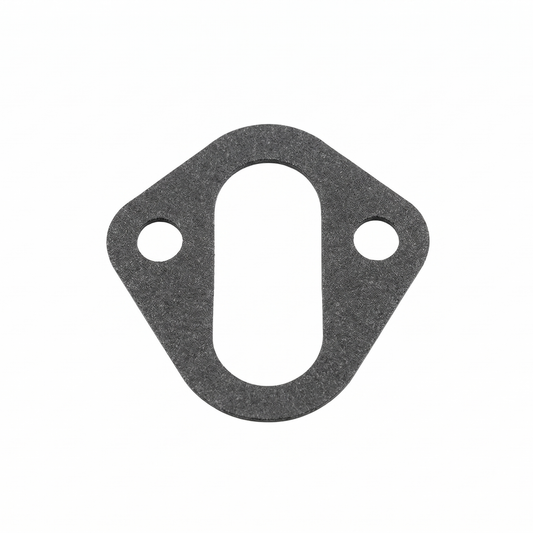 Fuel Pump Gasket